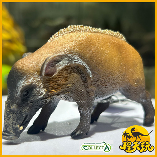 CollectA我你他非洲野猪模型