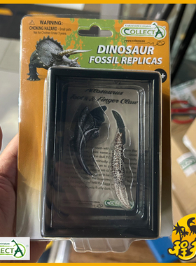 英国CollectA我你他异特龙牙齿及手爪89288恐龙牙齿脚趾爪模型PVC