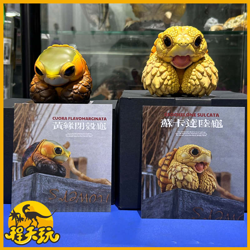 博物志原创2025吨吨动物园龟系列
