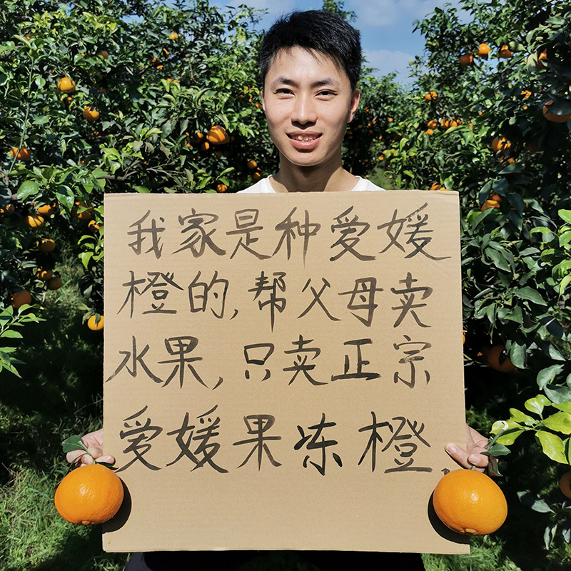 10万+回头客正宗爱媛果冻橙多汁