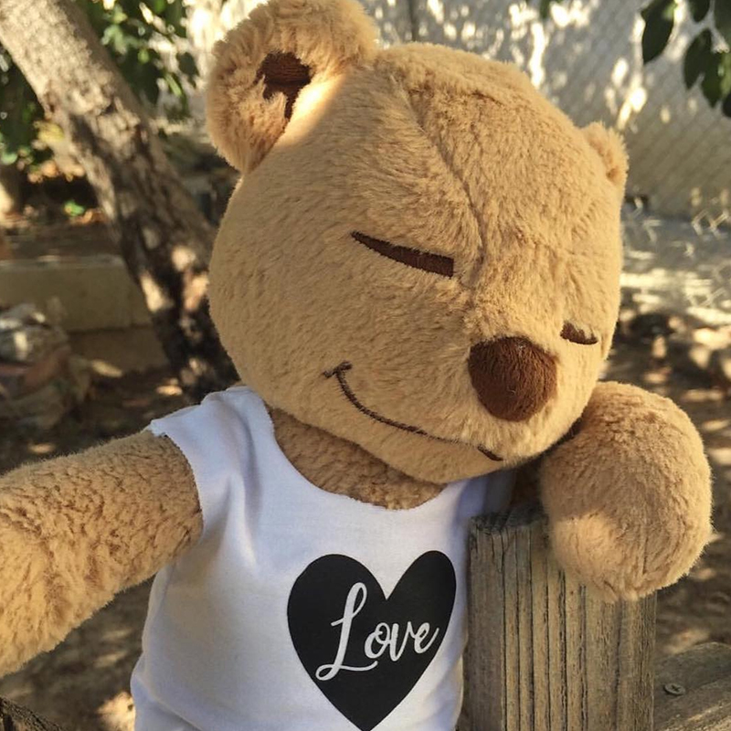 内在光芒| Meddy Teddy 瑜伽泰迪熊来自美国瑜伽熊可爱萌物泰迪熊