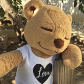 瑜伽泰迪熊来自美国瑜伽熊可爱萌物泰迪熊 Teddy 内在光芒 Meddy