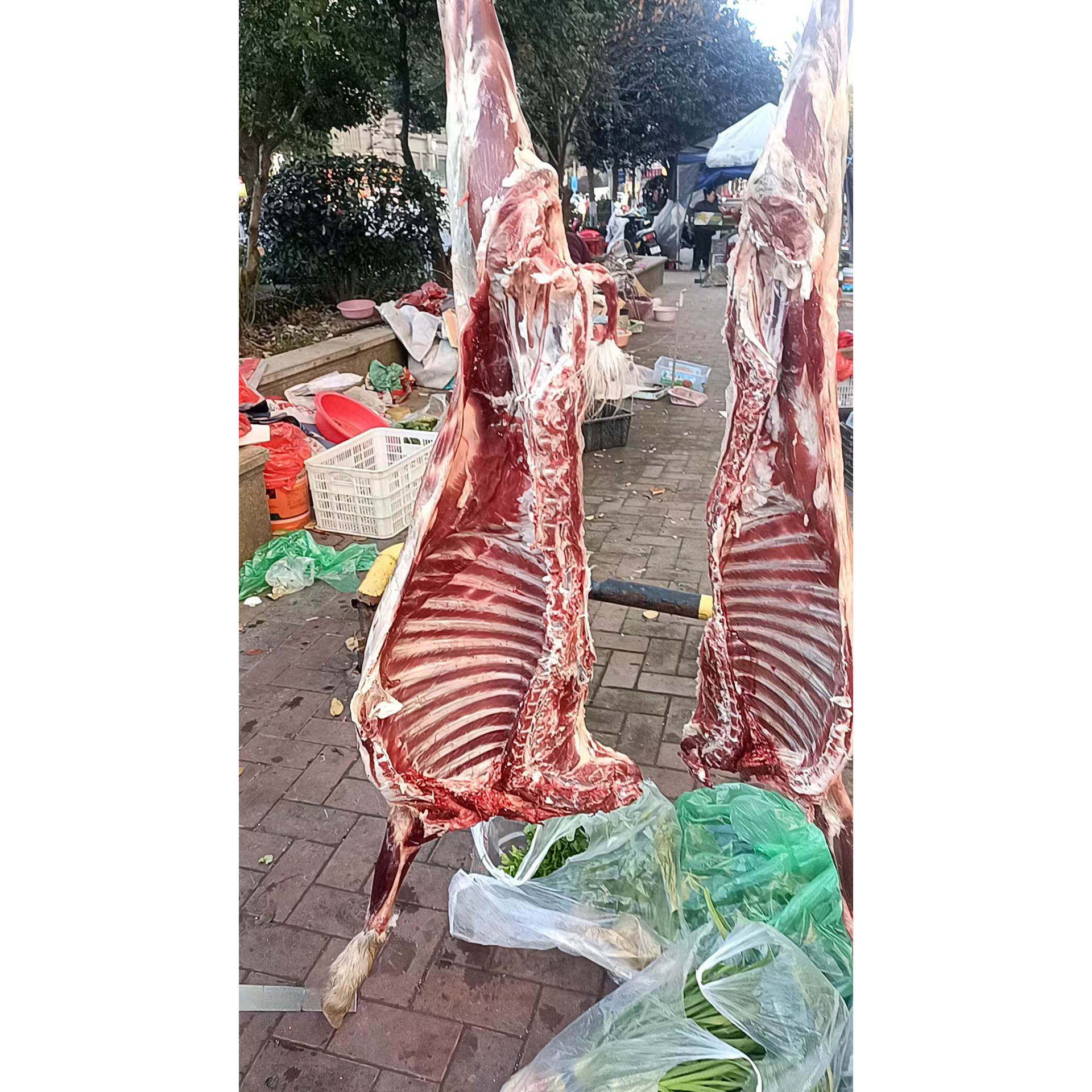 叶集羊肉新鲜山羊本地散养山羊