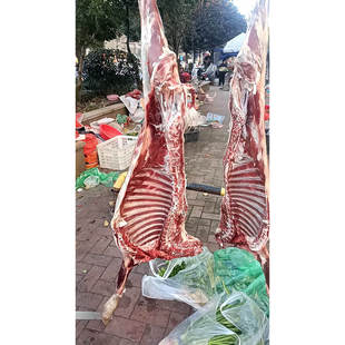 叶集羊肉新鲜山羊本地散养山羊