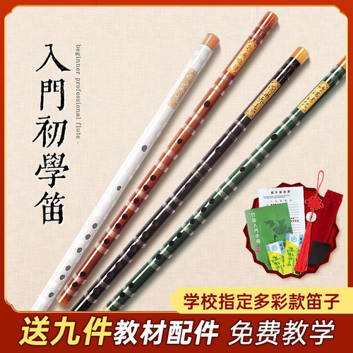演奏专业F调DG190古风入门乐器