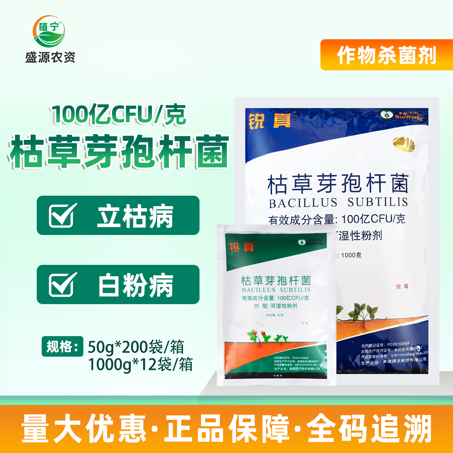 美国拜沃 锐真100亿枯草芽孢杆菌人参立枯病草莓白粉病农药杀菌剂