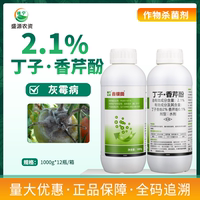 鑫银田2.1%丁子香芹酚丁子香酚香芹酚番茄灰霉病农药杀菌剂