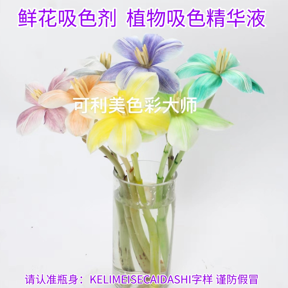 鲜花染色剂郁金香吸色剂满天星康乃馨可利美花色彩大师染妍颜料研