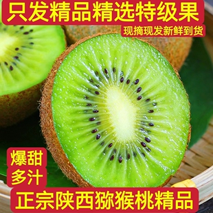 徐香猕猴桃礼盒装新鲜绿心奇异果当产地直发爆汁纯甜精选大果4.5J