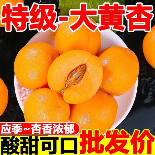 陕西大荔新鲜水果甜杏子当季现摘脆甜多汁孕妇水果现货秒发5J包邮