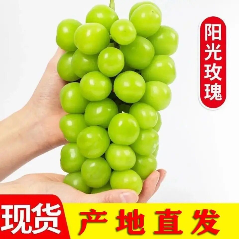 无籽阳光玫瑰葡萄香印晴王青提特级一级a级果应季水果整箱现摘4斤