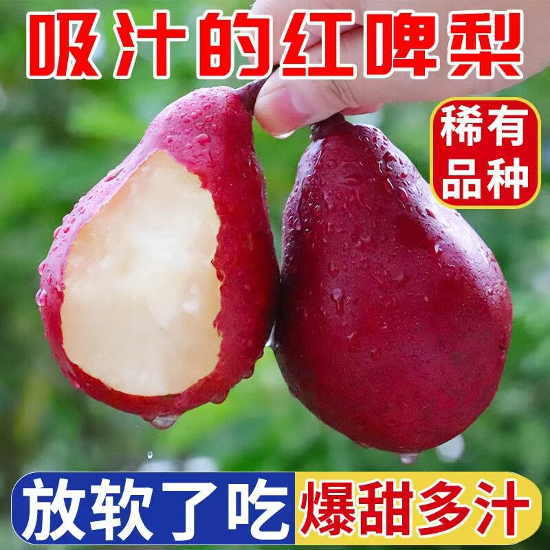 红啤梨大果西洋红梨太婆梨啤酒梨现摘水果新鲜梨子产地直发爆汁5J