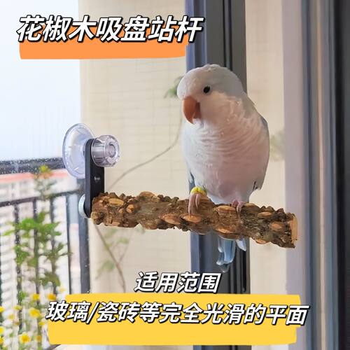 鹦鹉站杆吸盘玻璃站架