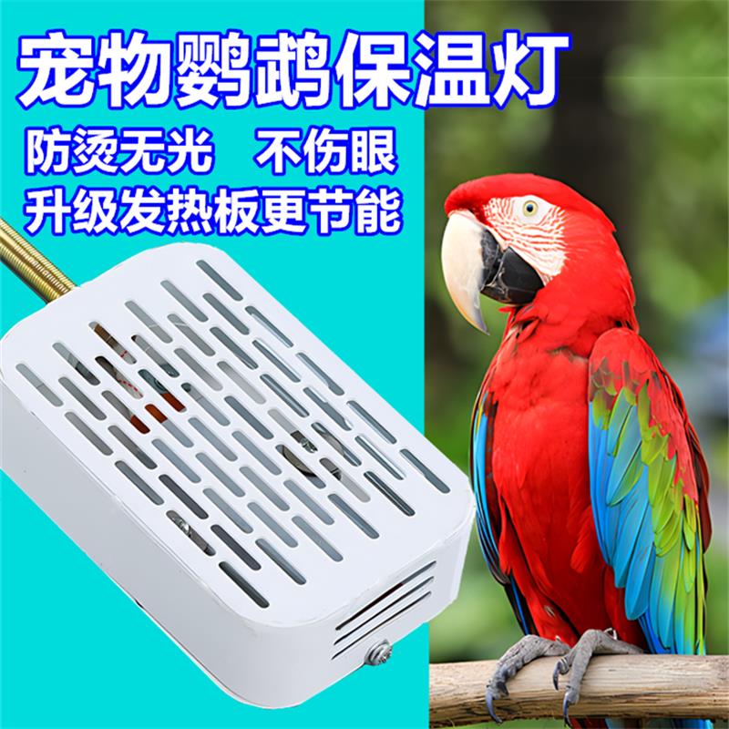 鹦鹉玄凤宠物专用保温灯鸟笼保暖加热器恒温温控取暖箱窝过冬神器