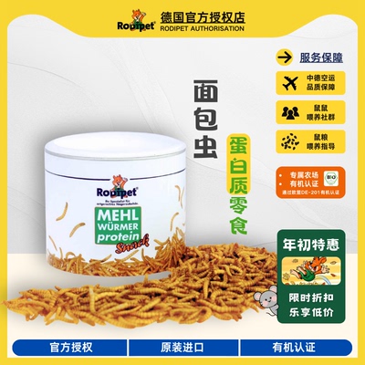 Rodipet仓鼠零食蛋白蚱蜢面包虫