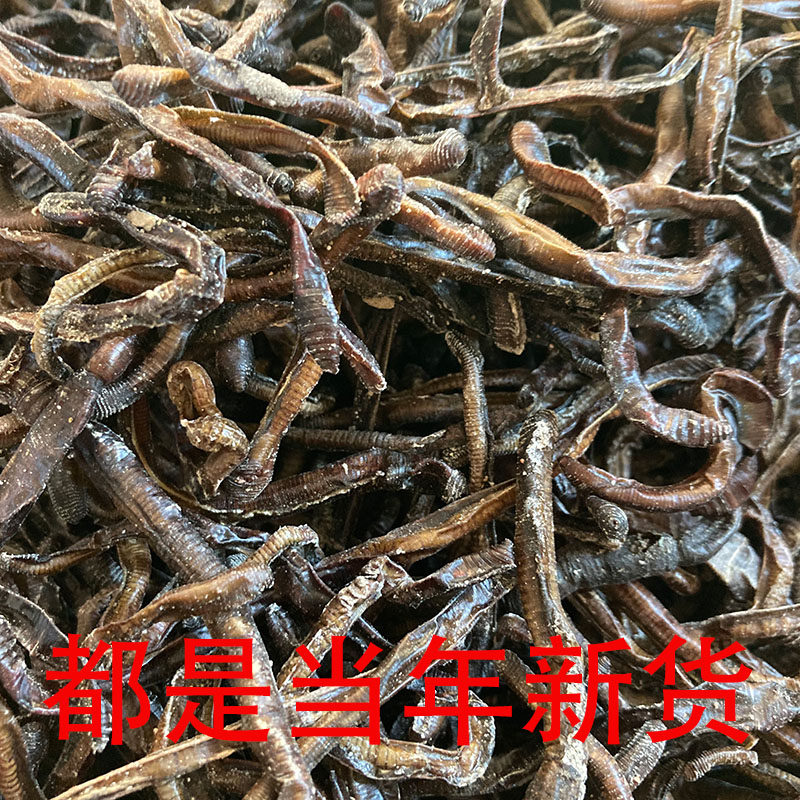包邮晒干的黑蚯蚓干货臭蚯蚓青蚯蚓干曲蟮捕黄鳝鱼饵养殖场直销