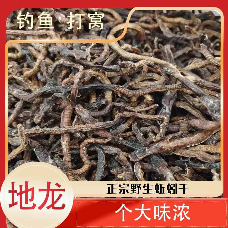 黑蚯蚓干青蚯蚓干地龙干500g克蚯蚓鱼饵黄鳝饵户外钓鱼隔夜窝干货