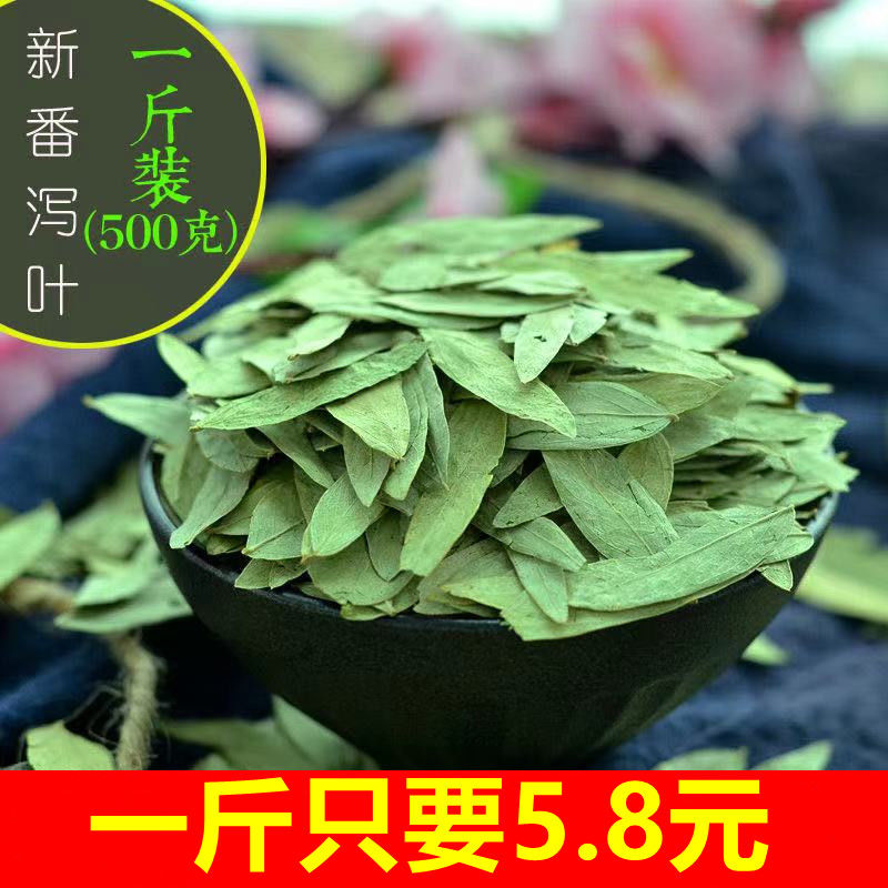 2025新正宗天然野生番泻叶500特级番茄叶番泻叶番泻叶片粉