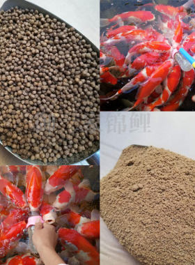 奶瓶鱼饲料渔场吃奶鱼不浑水颗粒