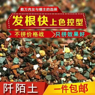 阡陌配方土 多肉专用  叶插颗粒土 增色控型 发根服盆块 包邮包邮