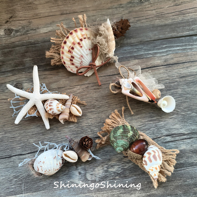 发饰夹子海洋海螺海星贝壳