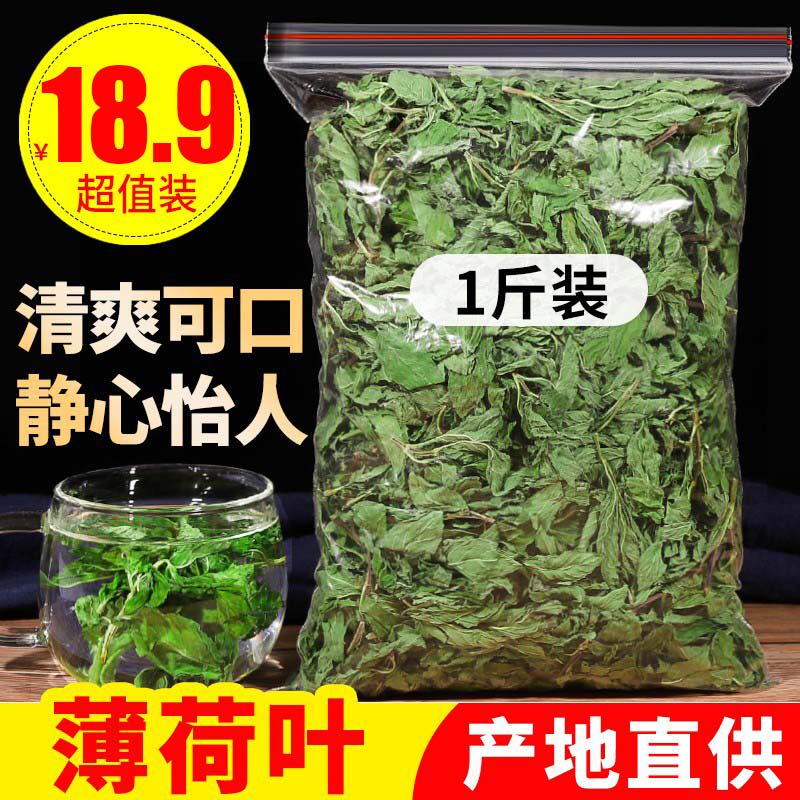 新鲜食用野生特级清凉调酒薄荷叶图片