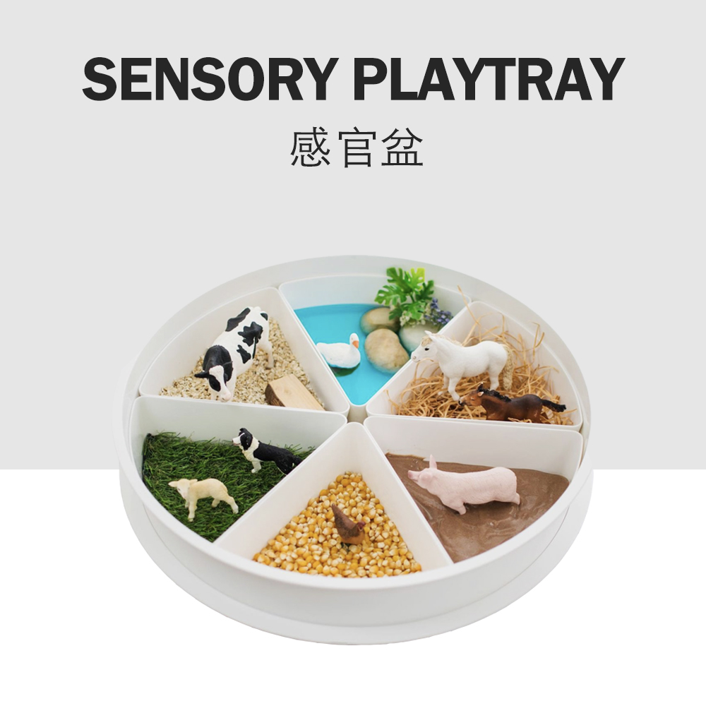 sensoryplaytray感官盆