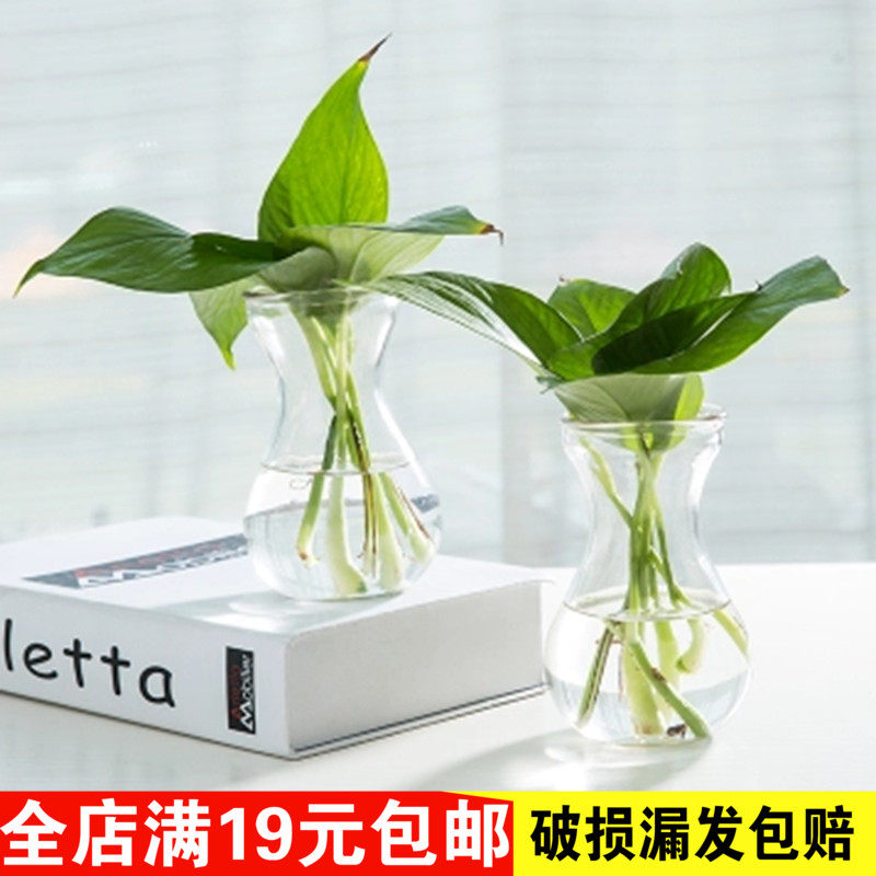 水栽植物玻璃花瓶風信子綠蘿花盆子水仙花專用水培玻璃瓶創意插花在類目 鮮花速遞/花卉仿真/綠植園藝, 花瓶/花器/花盆/花架（新）, 花瓶中 - 來自Buy2taobao.com提供專業的淘寶代購服務