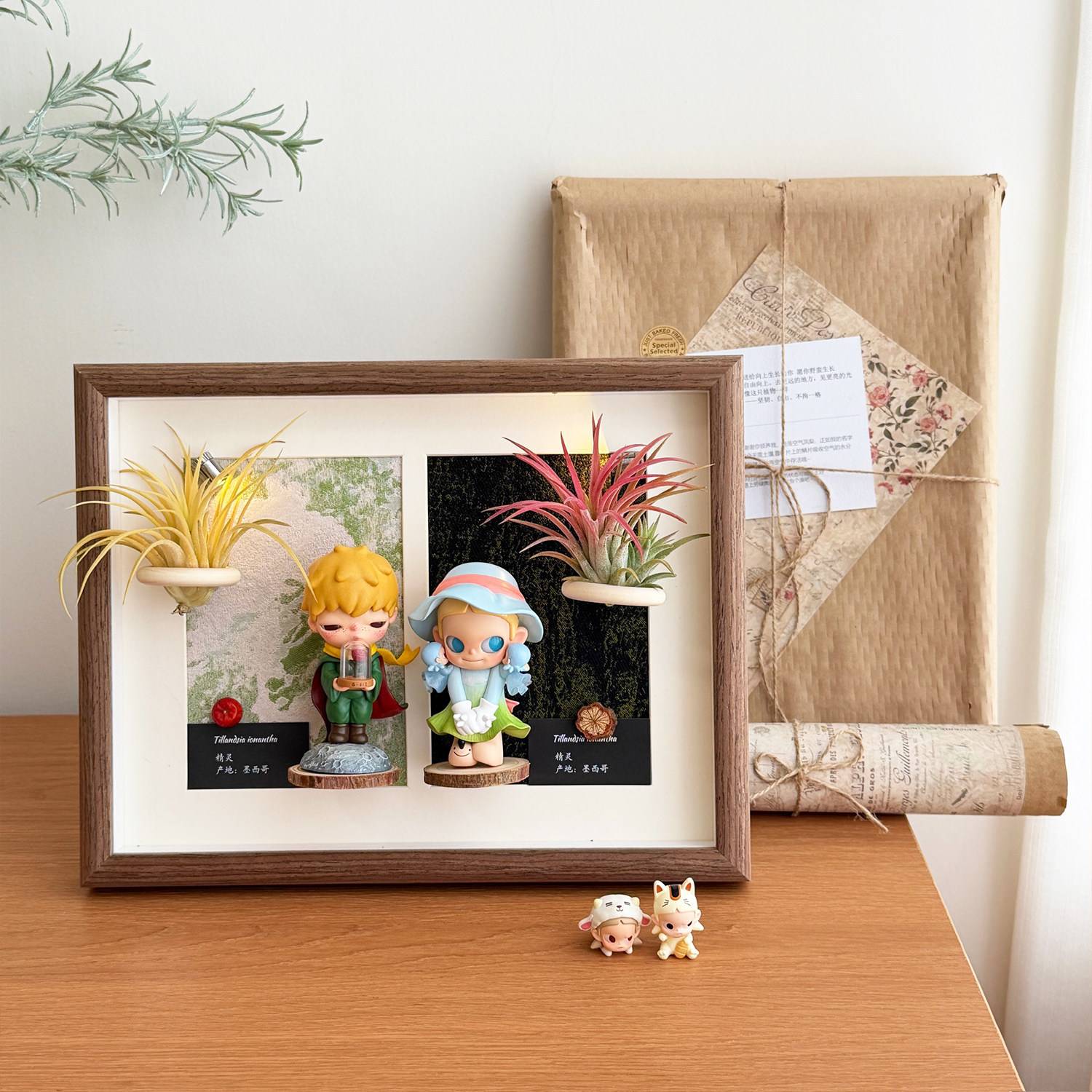 绿植盲盒展示相框 空气凤梨 DIY 装饰画 桌面摆件闺蜜创意礼物