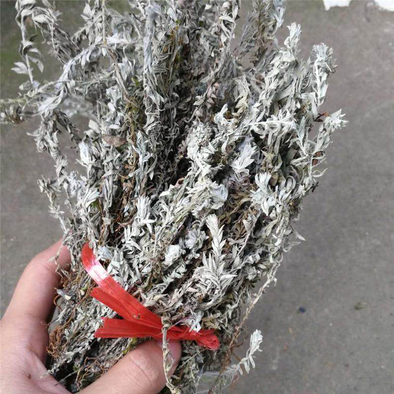 白毛鹿茸草 六月霜 千年霜 千年艾 白头翁 野生草药 干品250克