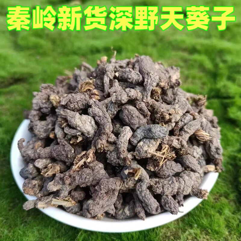 秦岭新货正品深野天葵子 紫背天葵籽 千年老鼠屎金耗子屎天葵根