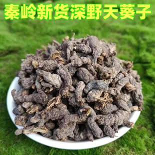 秦岭新货正品深野天葵子 紫背天葵籽 千年老鼠屎金耗子屎天葵根