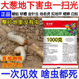 大葱地下害虫专用药噻虫胺杀虫剂专杀地下害虫地老虎蛴螬蝼蛄正品