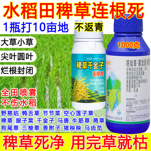 水稻稗草除草剂水稻专用苗后除草剂强效稗草千金子死根不伤苗正品