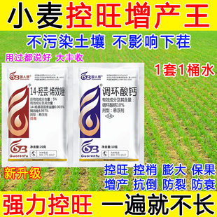 小麦控旺增产专用药小麦矮壮素膨大控旺调节剂保花保果正品烯效唑