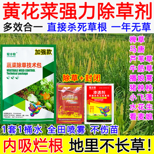 黄花菜除草剂黄花菜田苗后除草专用药强效死根封闭不伤苗禾阔双除
