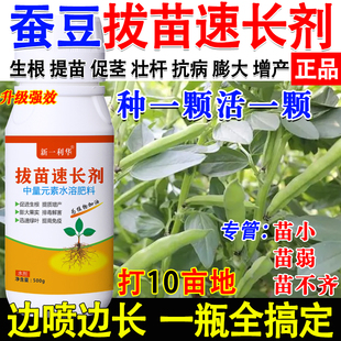 蚕豆提苗爆长剂蚕豆强效营养液蚕豆专用快速生根壮苗增产农用肥料