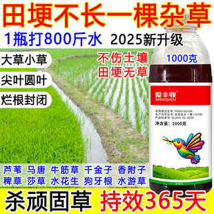 田埂除草剂水稻田埂除草剂水稻旱稻打田埂专用药稗草游草高浓度