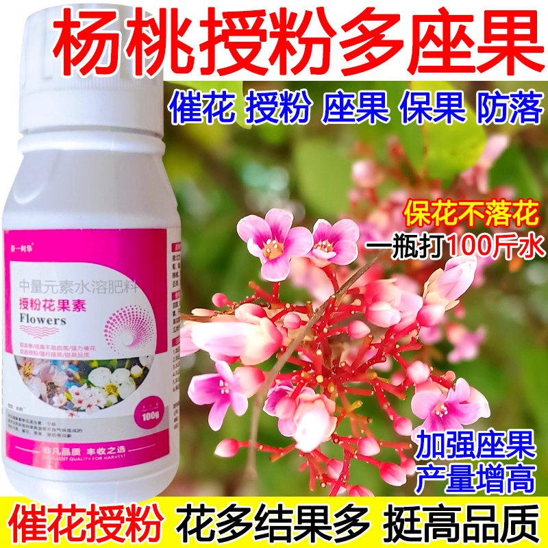 杨桃授粉座果精杨桃授粉药催花授粉叶面肥蔬菜果树保花保果沾花素