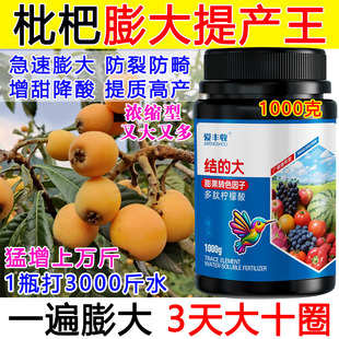 枇杷膨大剂枇杷专用膨果素增甜防裂抗病抗逆增产水溶肥正品膨大素
