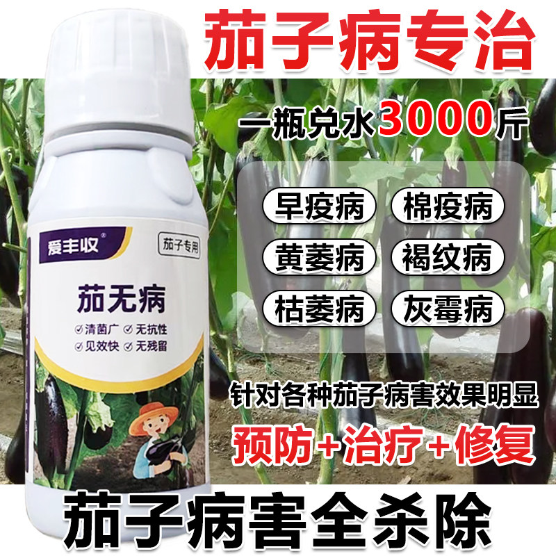 茄子杀菌剂茄子病全治叶霉病茄子微生物菌肥果腐病预防治疗速效