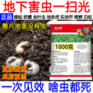 地下害虫专用药颗粒噻虫胺强效杀虫剂专杀地下害虫蛴螬蝼蛄全杀