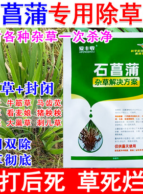 石菖蒲专用除草剂石菖蒲田灭草药安全不伤石菖蒲苗后除草禾阔双除