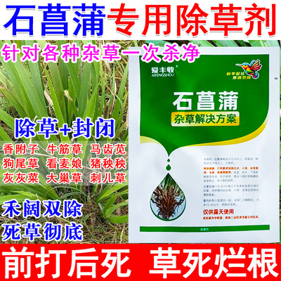 石菖蒲专用除草剂石菖蒲田灭草药安全不伤石菖蒲苗后除草禾阔双除
