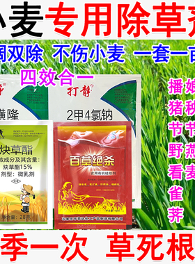 小麦专用除草剂小麦苗后除草药封闭式除草小麦田杂草强效死根正品