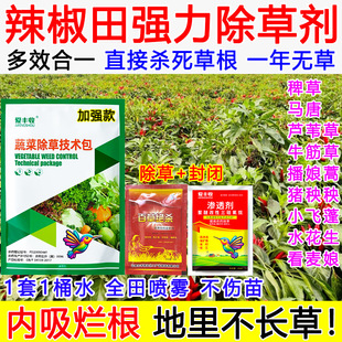 辣椒除草剂辣椒田苗后除草专用药强效死根烂根封闭不伤苗禾阔双除