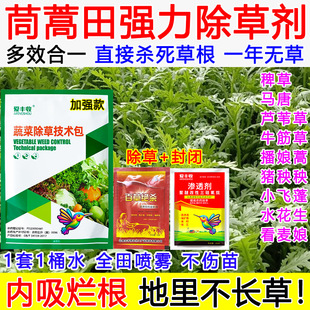 茼蒿除草剂茼蒿田苗后除草专用药强效死根烂根封闭不伤苗禾阔双除