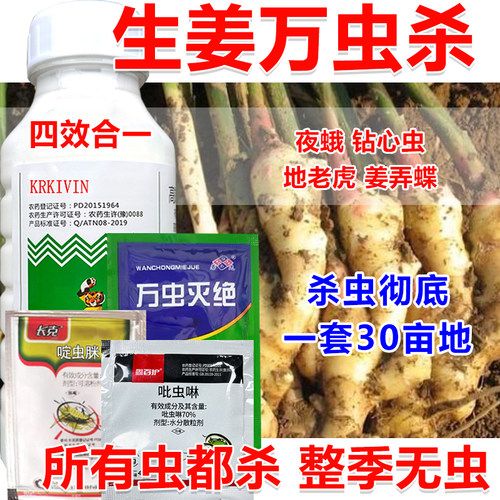 生姜杀虫剂生姜杀虫药生姜专用杀虫剂钻心虫地老虎杀虫剂组合装