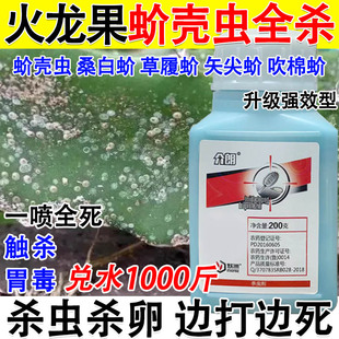 火龙果蚧壳虫专用杀虫剂火龙果蚧壳虫专用药专杀介壳虫吡虫噻嗪酮