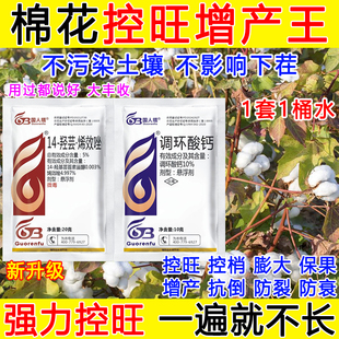 棉花控旺增产专用药棉花矮壮素膨大控旺调节剂保花保果正品烯效唑